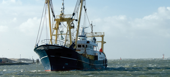 Fischtrawler